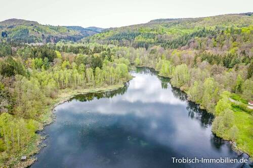 Schöntalweiher-Umgebung - 