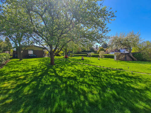 Garten - 