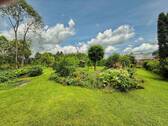 Gartenimpression - 