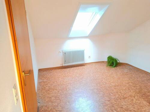 Sternensicht durch Dachfenster - 