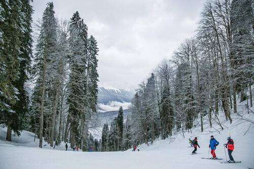 Skifahren im Winter - 