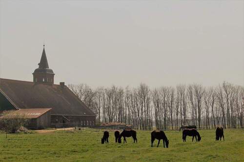 Bild 4 - Bauernhaus, Landhaus mit 380,00 m&sup2; in Wurster Nordseeküste zum Kaufen