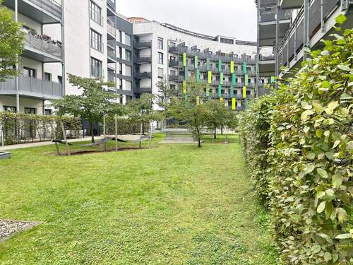 Gemeinschafsgarten - 