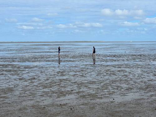Wattenmeer.jpg - 