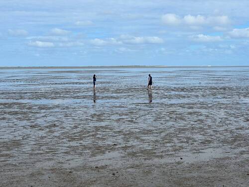 Wattenmeer.jpg - 