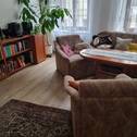 Musterwohnung - Wohnzimmer - 