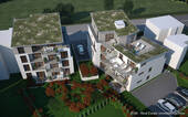 Animation - 