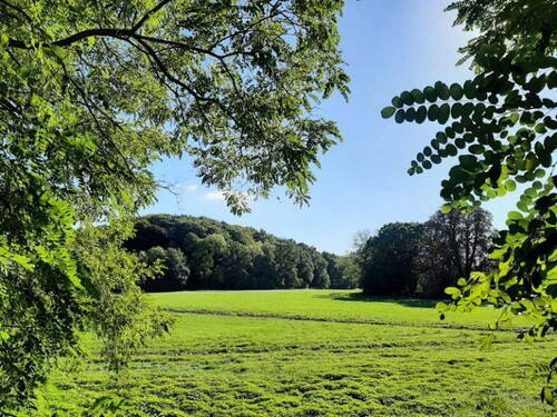 Blick vom Grundstück - 