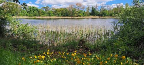Badesee - 