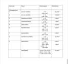 Wfl Wohnungen I. bis III. OG. - 