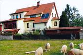 Hausansicht vom Garten aus - 7 Zimmer Mehrfamilienhaus, Wohnhaus in Rohr