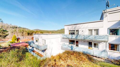 Blick vom Garten aus - 