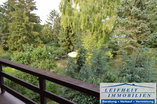 Blick auf das Grundstück - 