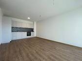 Wohnzimmer/Esszimmer/Küche - 2 Zimmer Etagenwohnung zur Miete in Singen
