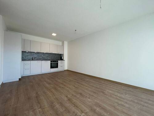 Wohnzimmer/Esszimmer/Küche - 2 Zimmer Etagenwohnung zur Miete in Singen