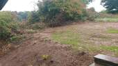 Gartennutzung - 