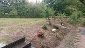 Gartennutzung - 