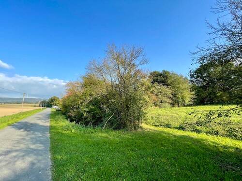 Umfeld - Grundstück zum Kaufen in Messenkamp