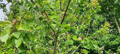 Bild 1 - Kernsanierungsobjekt mit iSFP - 126.000,00&nbsp;EUR Kaufpreis, ca.&nbsp; 140,00&nbsp;m&sup2;&nbsp;Wohnfl&auml;che