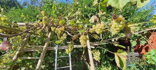 Bild 4 - Mehrfamilienhaus, Wohnhaus mit 140,00 m&sup2; in Cappel zum Kaufen