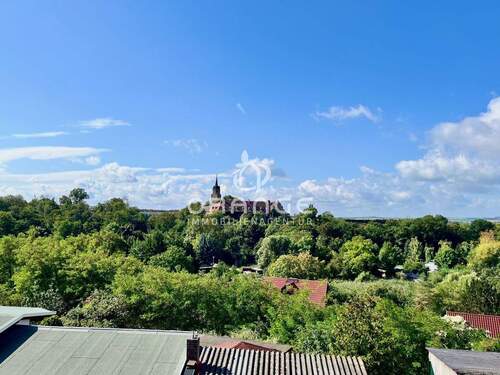 Rundblick vom Grundstück - Grundstück in Seeburg