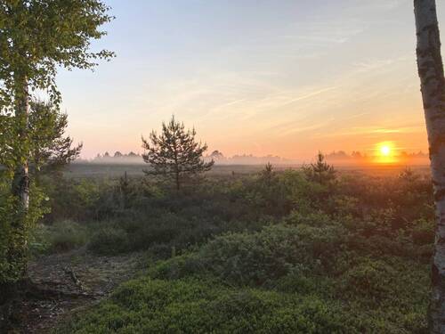 Naturschutzgebiet Steinhuder Meer - 