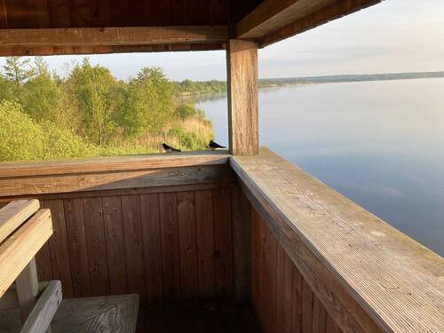 Vogelbeobachtung am Steinhuder Meer - 