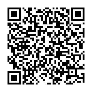 QR-Code - 