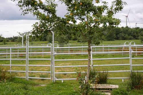 Umgebung - 
