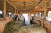 Umgebung - Einfamilienhaus mit 183,00 m² in Aurich zum Kaufen