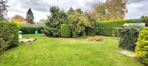 Blick in den Garten 1 - 