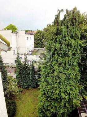 Blick zum Garten - 