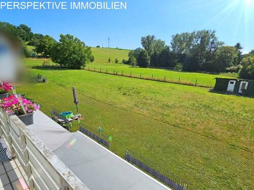 dazugehörige Wiese - 