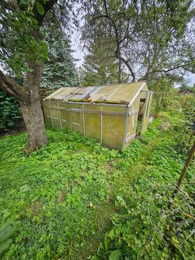 Garten - 