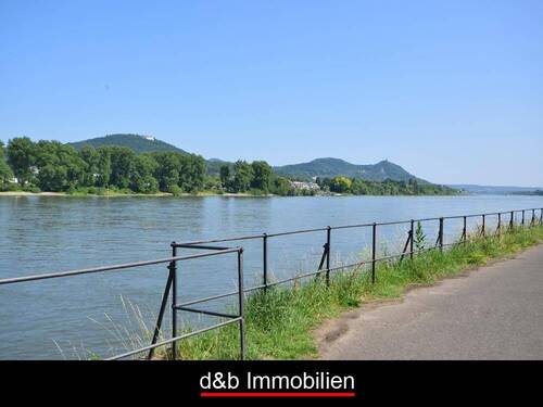12.JPG - 