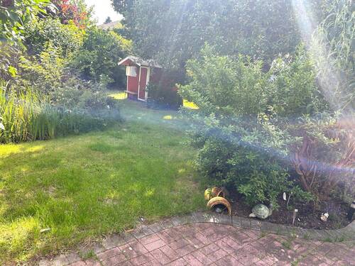 Garten 3 IMG_7973.jpeg - 