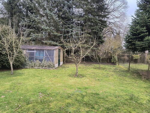 Garten mit Gewächshaus - 