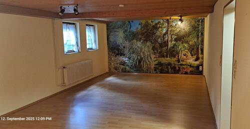 Hobbyraum im Keller - 