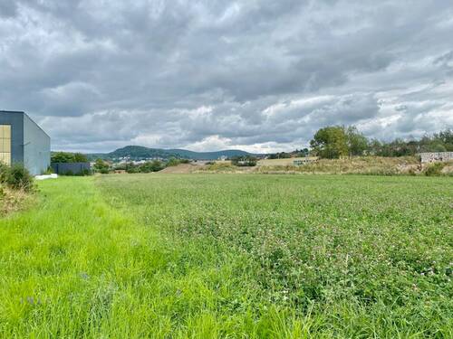 Gewerbegrundstück - Halle zum Kaufen in Kulmbach