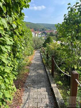 Fußweg - 