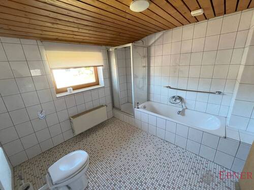 1519 Bad DG - 