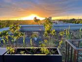 Abendblick - Dachterrasse - 