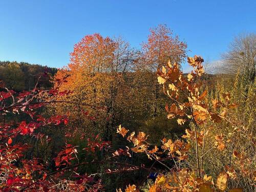 Jahreszeit Herbst - 