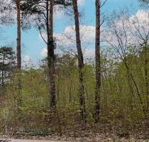 Attraktives Grundstück in Seenähe zum Krüpelsee in Königs Wusterhausen