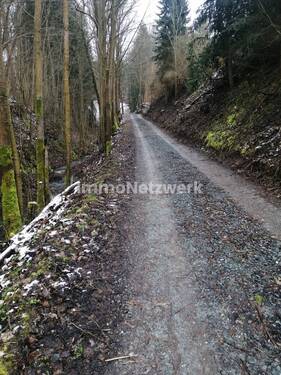 IMG_20200227_124803 - Grundstück in Gräfenthal