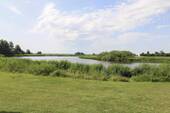 die Treene - 