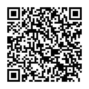 QR-Code - 