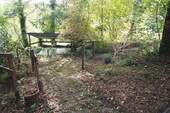 Impressionen Garten 3 - 