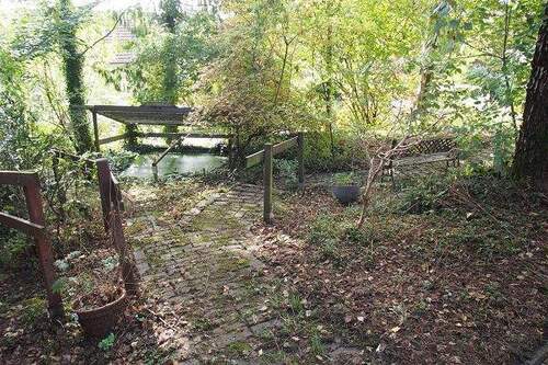 Impressionen Garten 3 - 