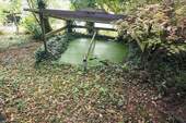 Impressionen Garten 4 - 